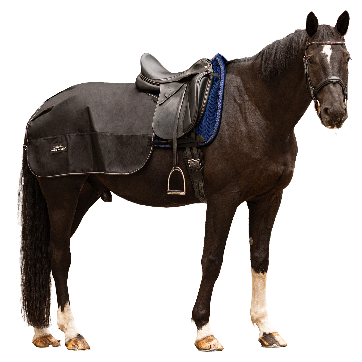Nieren- und Ausreitdecke Comfort H2O